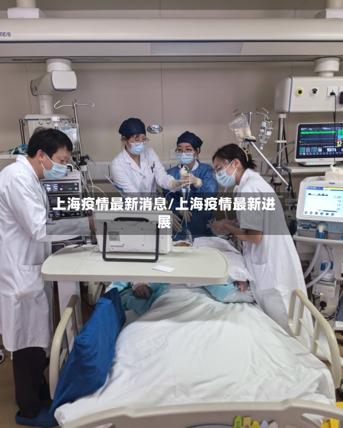 上海疫情最新消息/上海疫情最新进展-第2张图片