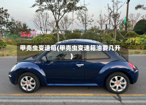 甲壳虫变速箱(甲壳虫变速箱油要几升)-第2张图片