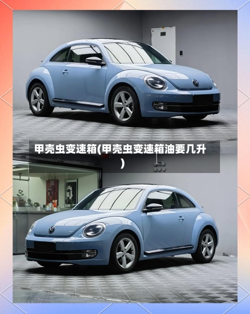 甲壳虫变速箱(甲壳虫变速箱油要几升)