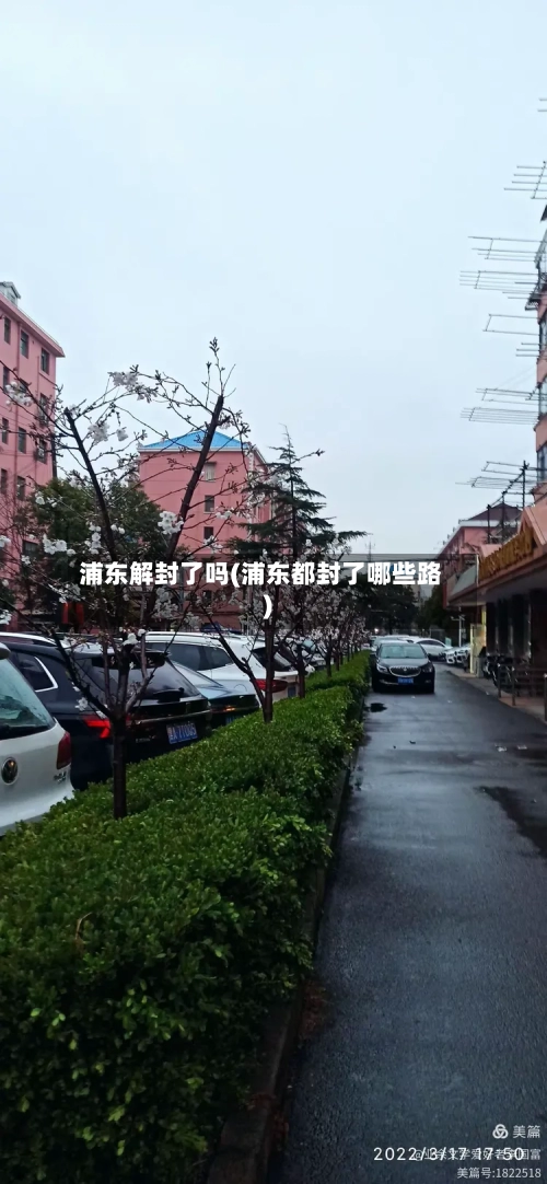 浦东解封了吗(浦东都封了哪些路)