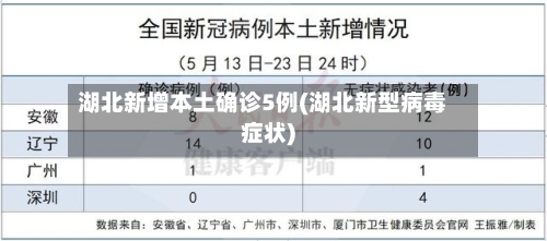 湖北新增本土确诊5例(湖北新型病毒症状)-第3张图片