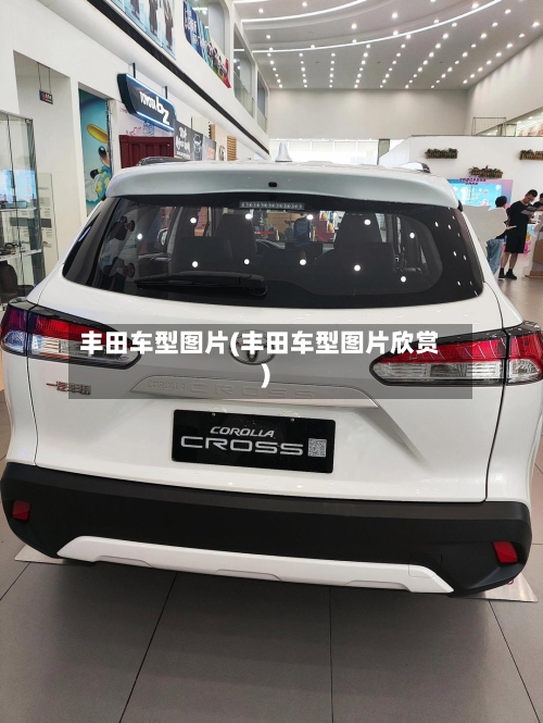 丰田车型图片(丰田车型图片欣赏)
