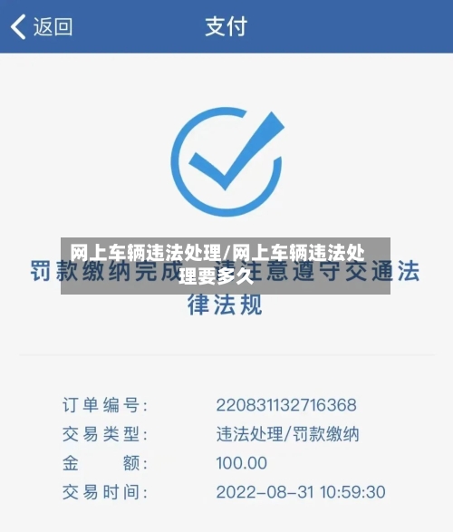 网上车辆违法处理/网上车辆违法处理要多久