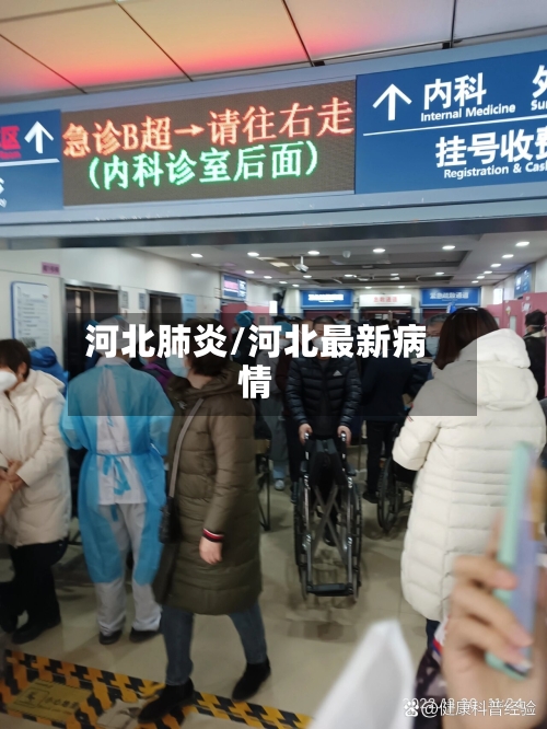 河北肺炎/河北最新病情