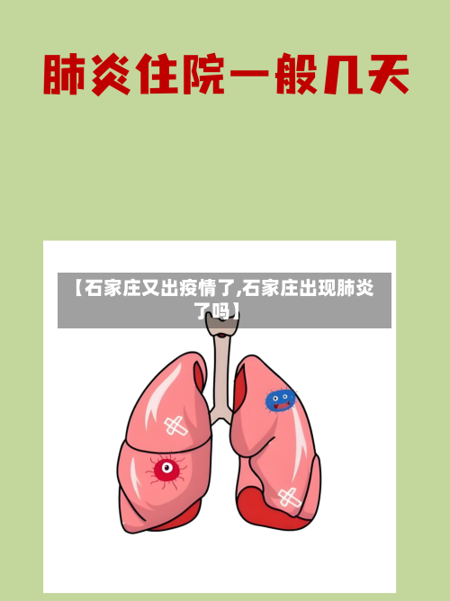 【石家庄又出疫情了,石家庄出现肺炎了吗】-第3张图片