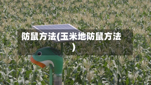 防鼠方法(玉米地防鼠方法)-第2张图片