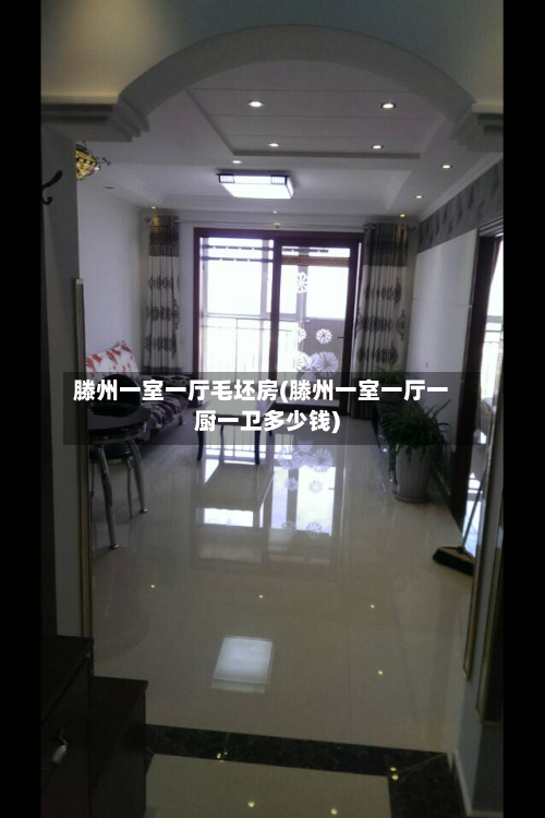 滕州一室一厅毛坯房(滕州一室一厅一厨一卫多少钱)-第2张图片
