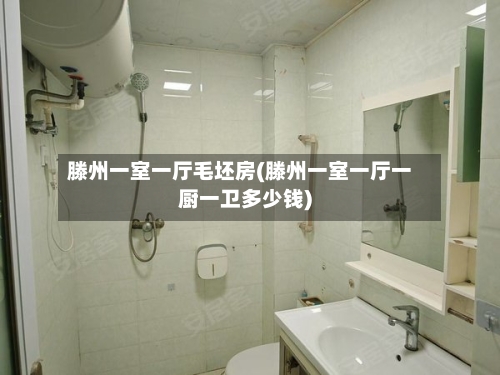 滕州一室一厅毛坯房(滕州一室一厅一厨一卫多少钱)