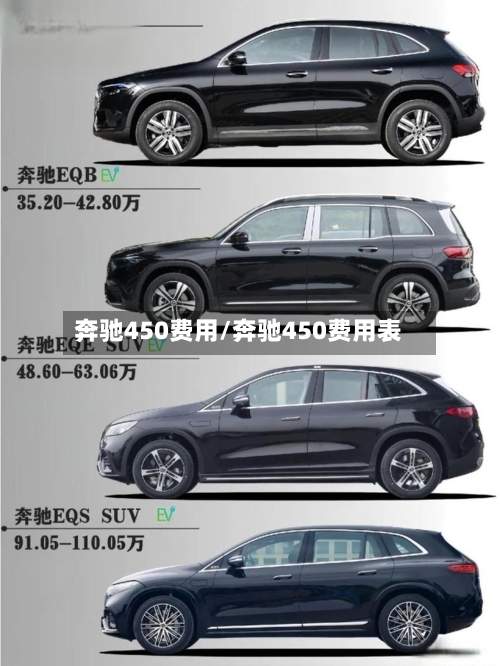 奔驰450费用/奔驰450费用表-第2张图片