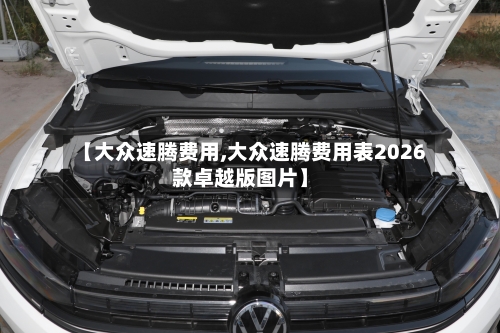 【大众速腾费用,大众速腾费用表2026款卓越版图片】-第3张图片
