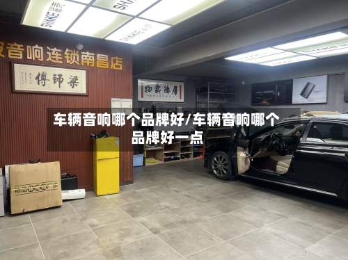 车辆音响哪个品牌好/车辆音响哪个品牌好一点-第2张图片