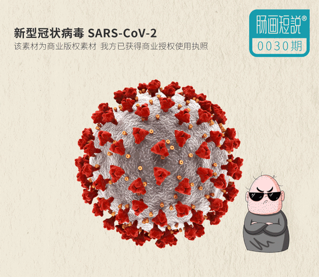 全国的最新疫情消息(全国疫情最新动态)