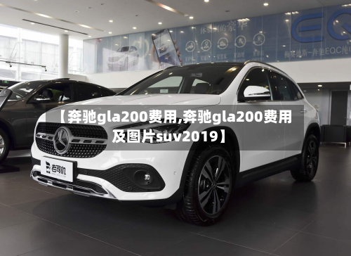 【奔驰gla200费用,奔驰gla200费用及图片suv2019】
