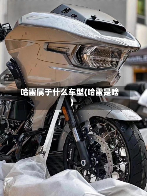 哈雷属于什么车型(哈雷是啥)