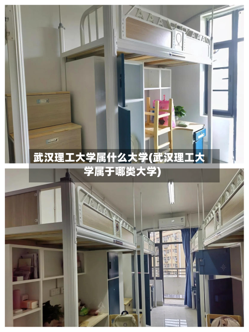 武汉理工大学属什么大学(武汉理工大学属于哪类大学)