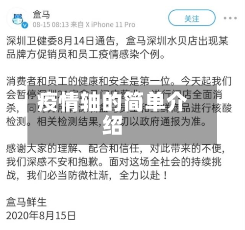 疫情轴的简单介绍-第2张图片